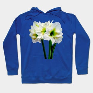 Amaryllis Green Princess Hoodie